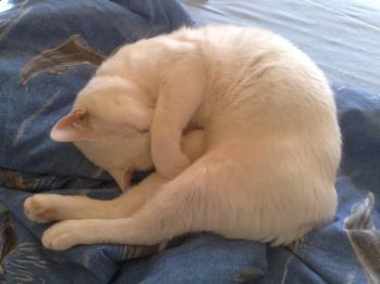 Casper Bild von Casper