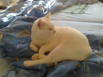 Casper Bild von Casper