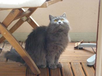 Bonni Bild von Bonni