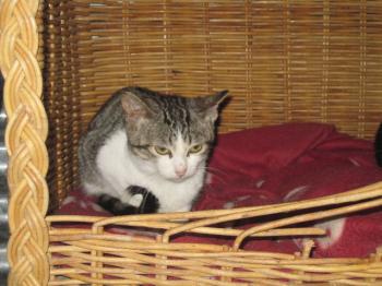 Charly Bild von Charla