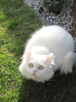 Tommy Bild von Tommy