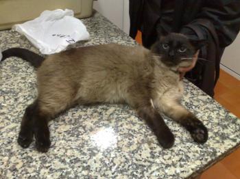 Pancho Bild von Pancho