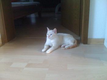 Cenit Bild von Cenit