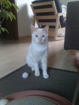 Cenit Bild von Cenit