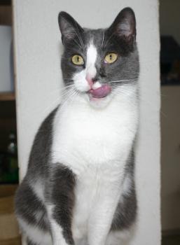 Nelja Bild von Nelja