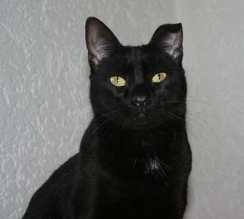 Bild von Bella