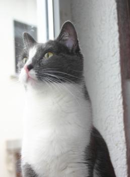 Nelja Bild von Nelja