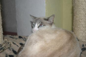 Flor Bild von Flor