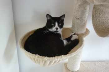 Thomas Bild von Thomas