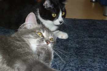 Thomas Bild von Thomas