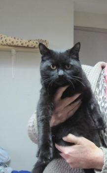 Salem Bild von Salem