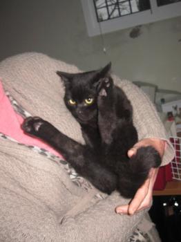 Salem Bild von Salem