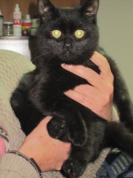 Salem Bild von Salem
