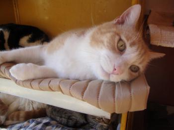 Balu 5221 Bild von Balu 5221