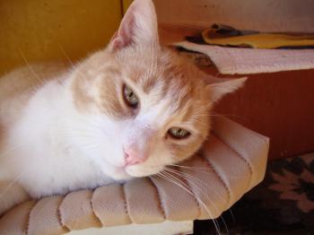 Balu 5221 Bild von Balu 5221