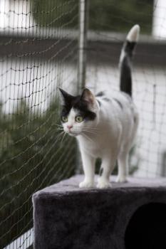 Mitxi Bild von Mitxi