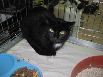 Bild von Sally