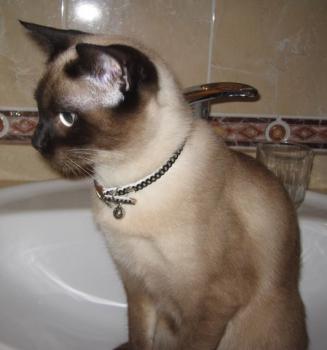 Bild von Donna