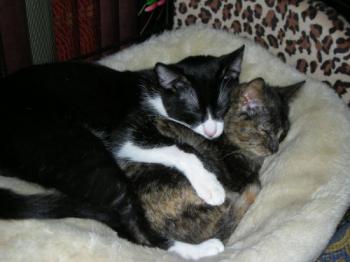 Fifi Bild von Fifi