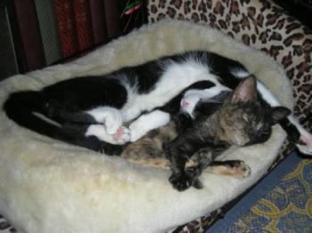 Fifi Bild von Fifi