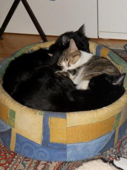 Muna Bild von Muna