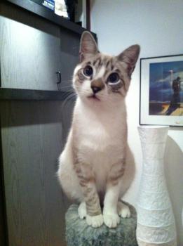 Albin Bild von Albin