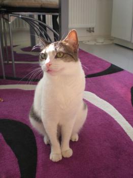 Momo Bild von Momo