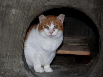 Cloe Bild von Cloe