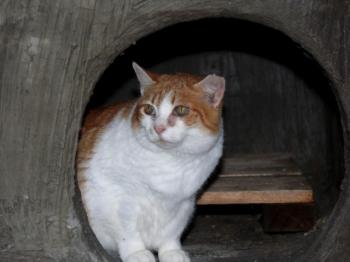 Cloe Bild von Cloe