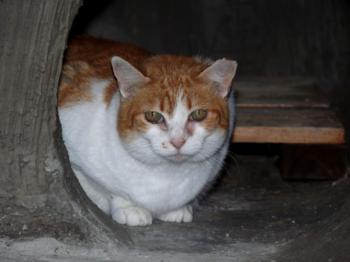 Cloe Bild von Cloe