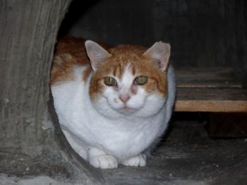 Cloe Bild von Cloe
