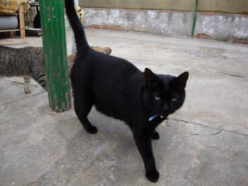 Kiti Bild von Kiti