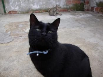 Kiti Bild von Kiti