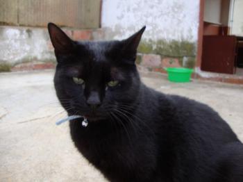 Kiti Bild von Kiti