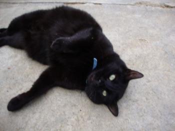 Kiti Bild von Kiti