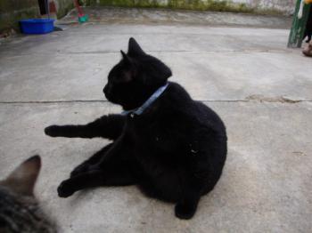 Kiti Bild von Kiti