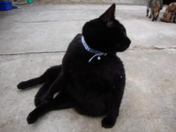 Kiti Bild von Kiti