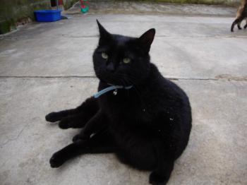 Kiti Bild von Kiti