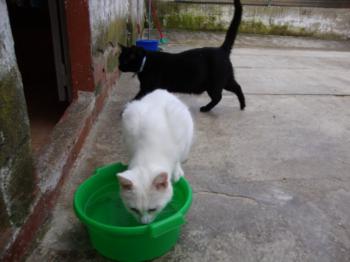 Kiti Bild von Kiti