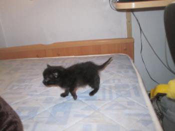 Mama Babies Bild von Melia