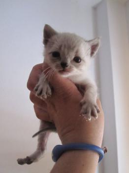 Mama Babies Bild von Melia