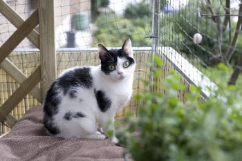 Mitxi Bild von Mitxi