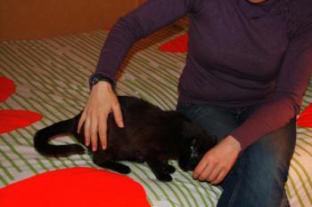 Minigo Bild von Minigo
