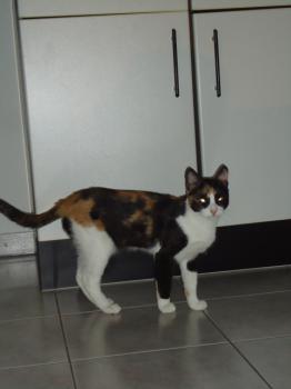 Lisa Bild von Lisa