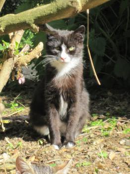 Bild von Jerry