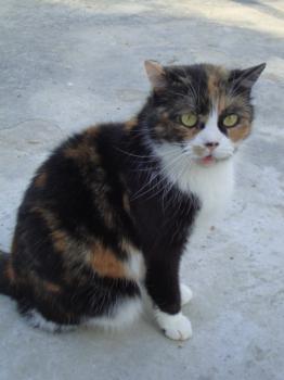 Momo Bild von Momo