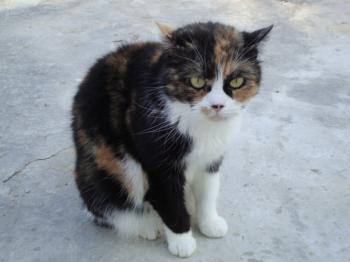 Momo Bild von Momo