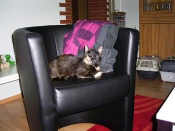 Brujita Bild von Brujita