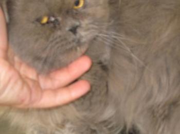 Jimmy Bild von Jimmy