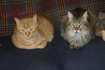 Oliver Bild von Oliver